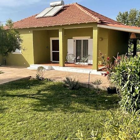 Mnf Country House Agios Georgios  Esterno foto